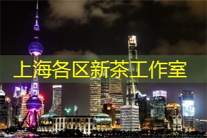 上海户外音乐节全攻略